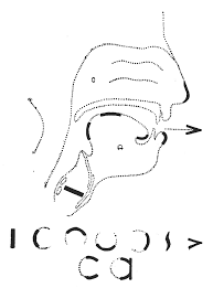 The international phonetic alphabet (ipa) is a system of phonetic notation devised by linguists to accurately and uniquely represent each of the wide variety of sounds ( phones or phonemes ) used in spoken human language. 1 4 Visible Speech