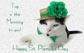 See more ideas about patrick, happy st patricks day, st patrick. Happy St Patrick S Day Gifs Bing Images Happy St Patricks Day St Patricks Day St Patricks Day Quotes