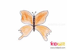 Draw in the pretty circles to add a unique design. Easy Way To Draw A Butterfly For Kids Kidpid