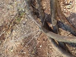 We did not find results for: Gardener S Supply Company Reviews 109 Reviews Of Gardeners Com Sitejabber