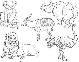 Collections of live wild animals have evolved from. Free Printable Zoo Coloring Pages For Kids