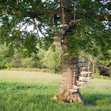 Staircase railings staircase design stairways banisters stairway railing ideas stairway wainscoting dining room wainscoting stair. Canopystair Is A Spiral Staircase That Straps Around A Tree Trunk