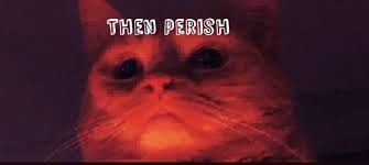 Pin On Memes