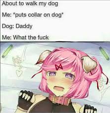 Hol Up Hol Up Best Funny Pictures Anime