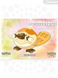 Image result for Platterpus