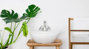 10 tanaman hias ini cocok untuk pemula, pilih yang mana? 5 Tanaman Hias Yang Bermanfaat Untuk Kamar Mandi