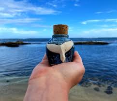 Meet Nadine Clements