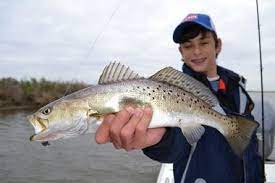 Louisiana Outdoors Trout Speckle Going Fishing