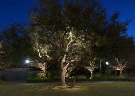 Living in charleston offers residents a dense suburban feel and most residents own their homes. How Do You Light A Tree