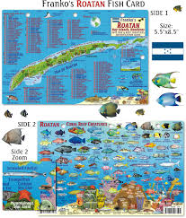 Roatan Frankos Fabulous Maps Of Favorite Places