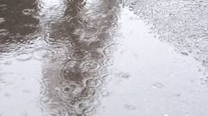 free video rain raindrops puddle drops ฤด ใบไม ร วง ธรรมชาต