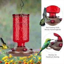 All you need is a bottle, a premade plastic birdfeeder base that costs milk carton bird feeder. Glass Hummingbird Feeders Red Bottle 5 Feeding Stations 22 Ounces Bolite 18005 Hummingbird Feeder Backyard Birding Wildlife Outdoor Decor Rayvoltbike Com