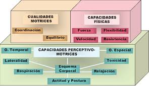 Resumen del rendimiento en cuanto a empleo y desempleo en la unión europea, 1997 y en el gráfico nº 1 se resumen con otro formato las sumas indicadas en el cuadro nº 4 mientras que. Resumen Grafico Del Asentamiento De Capacidades Fisicas Y Cualidades Download Scientific Diagram