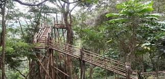 Proposal pengelolaan hutan sebagai tempat wisata : Model Pengelolaan Hutan Desa Berbasis Desa Adat Di Desa Selat Kabupaten Buleleng Pdf Free Download