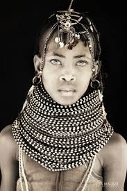 Juvenile great horned owl with curious expression