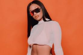 Megan thee stallion (born february 15, 1995) is an american rapper, singer, actress, and songwriter. Megan Thee Stallion Height Weight Bio Age Body Measurement Net Worth And Facts