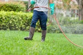 Pest control in gallatin, tn. Southern Exterminators Cadiz Ky Southern Exterminators
