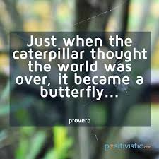 Another Metaphor On Change Quote Metaphor Change Caterpillar World Butterfly Transformation Personal Growth Evolution Metaphor Quote Metaphor Quotes