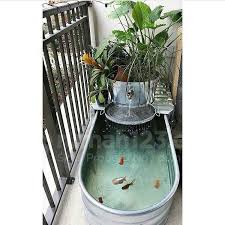 Taman minimalis ternyata tidak hanya bisa dibuat di luar rumah saja. 10 Inspirasi Desain Kolam Ikan Mini Untuk Lahan Sempit Rumah123 Com
