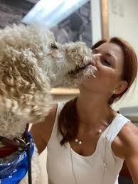 Best breed in the world after age 50