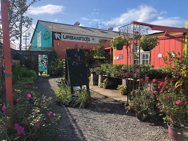 Urban Roots: A quirky petting zoo and plant center all in one | Very Local