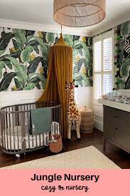 Jungle book decorating ideas kids bedrooms jungle rainforest theme. Pin On Home Sweet Home