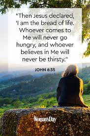 Daily quote in your email. 17 Bible Quotes About Life Bible Verses About Life