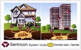Our goal is to offer a service of the highest quality at a competitive price. Home Paramount Pest Control Co Fredericksburg Va Alignable