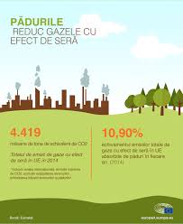 Articole interesante pentru un stil de viaţă sănătos: SchimbÄƒrile Climatice Utilizarea PÄƒdurilor Pentru A Echilibra Emisiile De Co2 Actualitate Parlamentul European