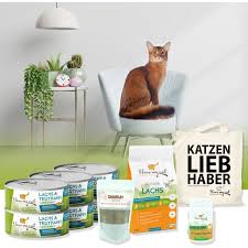 Katzenrassen und bilder bilder kostenlos. Sparset Fur Somali Katze Nassfutter Und Trockenfutter Mit Lachs Und Truthahn Nahrungserganzung
