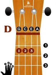 basic ukulele chords for beginners know your instrument