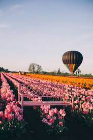 Quick Trip To Oregon Julia Berolzheimer Tulip Festival Trip Scenery