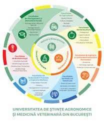În atenţia candidaţilor la facultatea de medicină. P Start Admitere Sesiunea Ii Fii Extraordinar Alege Universitatea Care PregÄteÈte SpecialiÈti Pentru Un Job De Viitor Edupedu Ro
