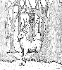Inktober Day 22 Deer Sketch Deer Drawing Forest Art