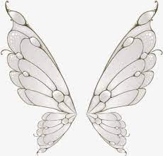 Painted White Butterfly Wings Fairy Wings Drawing Wings Drawing Wings Art