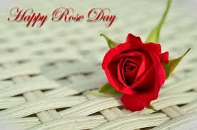 Beautiful Happy Red Rose Day Wallpaper Free Download Red Roses Red Rose Flower A Rose For Emily