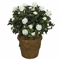 Artificial outdoor plants and flowers provide an excellent alternative to live foliage. Artificial Outdoor Plants Outdoor Artificial Trees