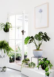 Deco Blanche Et Plantes Vertes La Boutique Ivy Muse Plante Verte Deco Plantes Deco Blanche