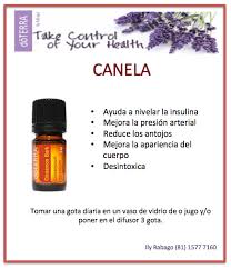 Usos Del Aceite Esencial De Canela Doterra Recetas De Aceites Esenciales Aceites Esenciales Doterra Mezclas De Aceites Esenciales