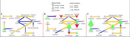 Neurotransmitter Imbalance In The Brain And Alzheimer S Pathology Biorxiv