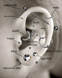 Check spelling or type a new query. Rook Piercing Shen Men Piercing Details Going In Trends
