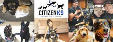 Profile for Albert Ding