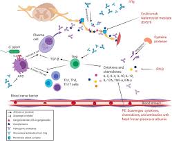 Most patients present with an antecedent illness, most commonly upper respiratory tract infection, before the onset of progressive motor weakness. Frontiers Intensive Care And Treatment Of Severe Guillain Barre Syndrome Pharmacology