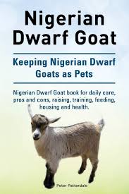 Like the american pygmy goat, it derives from the west african dwarf group of breeds of west africa.:416. Nigerian Dwarf Goat Keeping Nigerian Dwarf Goats As Pets Nigerian Dwarf Goat Book For Daily Care Pros And Cons Raising Training Feeding Housing And Health Patterdale Peter 9781910941966 Amazon Com Books