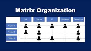 what is a matrix organization definition and example