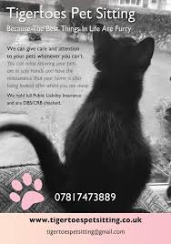 This moneysavingexpert guide helps you compare the top pet insurance should i insure my pet? Tigertoes Pet Sitting Home Facebook