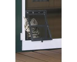 Katzen Klappe Fur Insektenschutz Turen Plus Expert Schwarz 20x25 Cm Bei Hornbach Kaufen