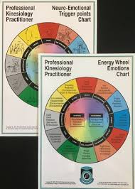 pkp neuro emotional points chart with energy wheel emotions chart