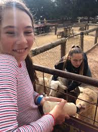 Meet the cute 'n cuddly farm animals at Swan Valley Cuddly Animal Farm!  Here kids can feed baby animals, have a tractor ride and even hug a bunny.  More at... https://www.buggybuddys.com.au/swan-valley-cuddly-animal-farm