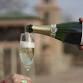 Casa Rondeña Winery Tour & Tastings